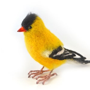Needle felting realistic bird American Goldfinch, handsome little doll, state bird of New Jersey, Iowa and Washington, Waldorf felt animals