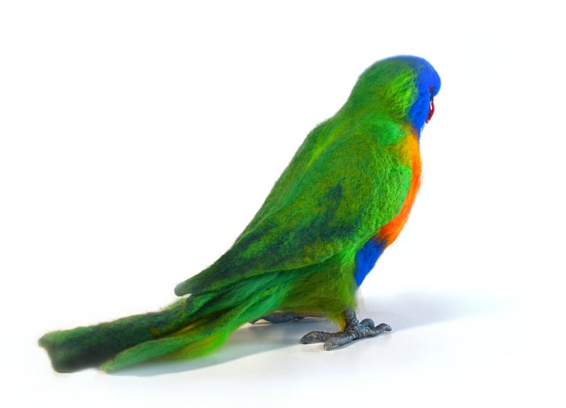 lorikeet toys