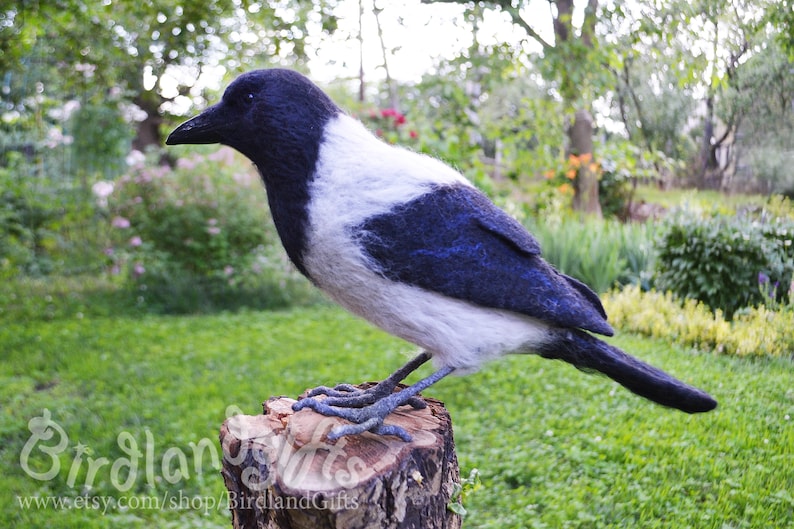 The Hooded Crow Corvus cornix felt bird sculpture The real sized felted Hoodie is action figure of the Eurasian smart ass and hooligan. image 10