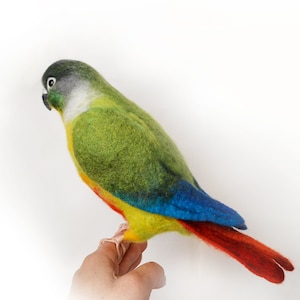 Yellow Sided Green Cheek Red Tail Conure Realistic Felt Toy. Lifelike ...