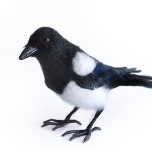 Eurasian Magpie - 1/2 scale felted naturalistic doll
