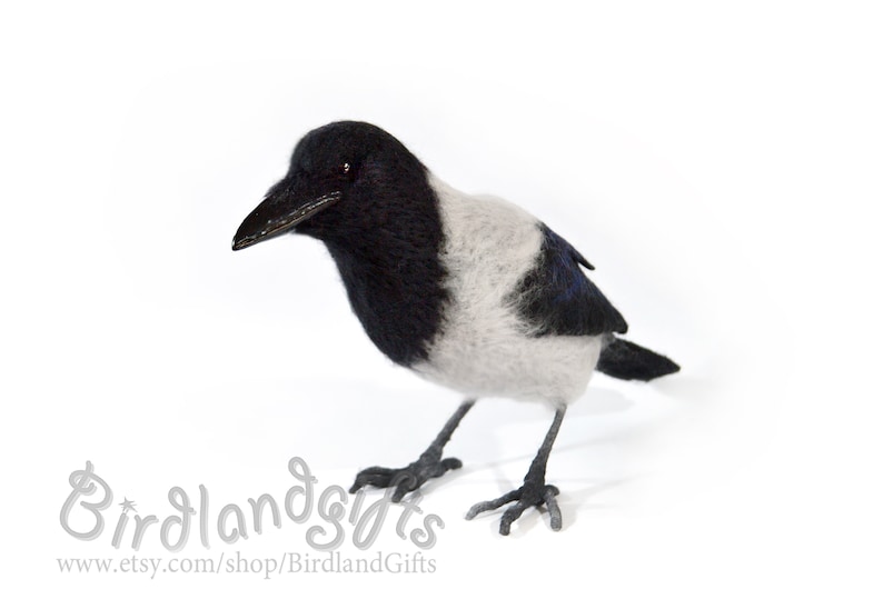 The Hooded Crow Corvus cornix felt bird sculpture The real sized felted Hoodie is action figure of the Eurasian smart ass and hooligan. image 8