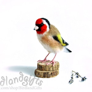 The European Goldfinch or simply the Goldfinch - Realistic felted toy - Felted bird. Lifelike felting animal. Birdwatching perfect gift.