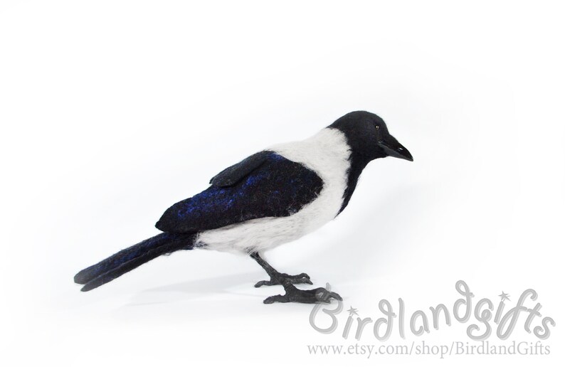 The Hooded Crow Corvus cornix felt bird sculpture The real sized felted Hoodie is action figure of the Eurasian smart ass and hooligan. image 5