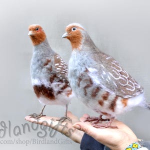 Puede incluir: Dos esculturas de pájaros de fieltro hechas a mano. Los pájaros tienen plumas grises, marrones y blancas, con cabezas y picos naranjas. Los pájaros están posados en una mano. El nombre de la tienda Etsy "Birdlandsgifts" es visible.