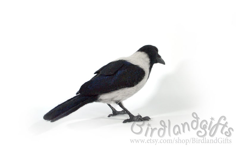 The Hooded Crow Corvus cornix felt bird sculpture The real sized felted Hoodie is action figure of the Eurasian smart ass and hooligan. image 6