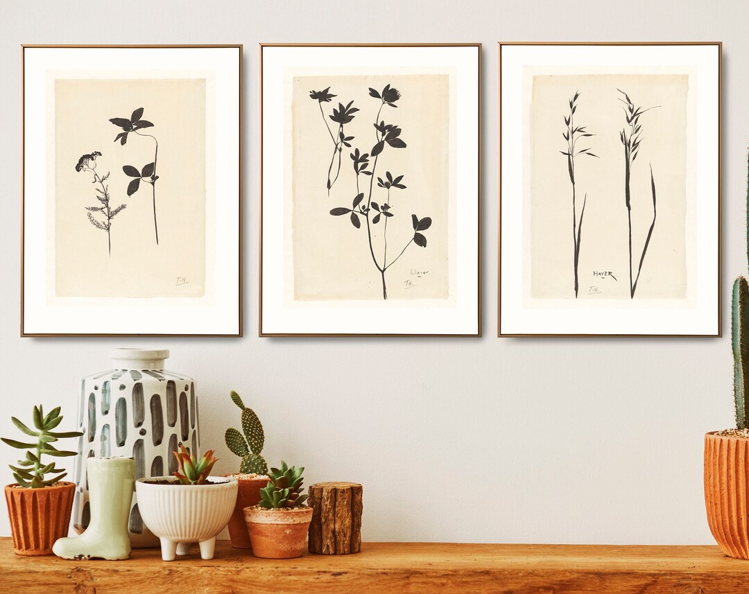 Herbal Poster Set, Minimal Botanical Prints, Wild Flower Print Set ...