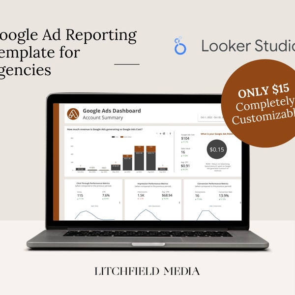 Google Ad Report for Agencies | Looker Studio Reporting Template | Google Ad Reporting Template