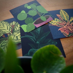 plants art print illustration