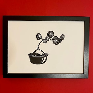 Stephania Erecta plant Handmade art print Linocut
