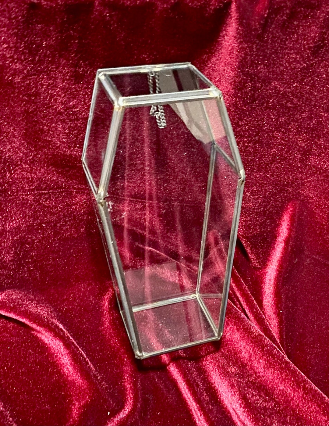 Glass Coffin Terrarium Jewelry Box Etsy
