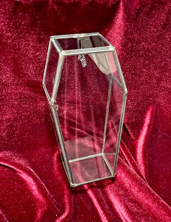 Glass Coffin Terrarium Jewelry Box Etsy