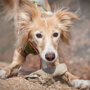 Small Retriever Dog Dummy, Organic Hemp Fetch Training Toys, Dog Lover Gifts, Dog Training Dummy image 1