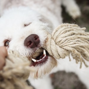 Dog Rope Toy Pet Natural Dog Toy Organic Hemp Rope Toy for Dog Chew Toy Puppy Durable Dog Toy Natural Rope Heavy Chewer Dog Toy Durable Toy