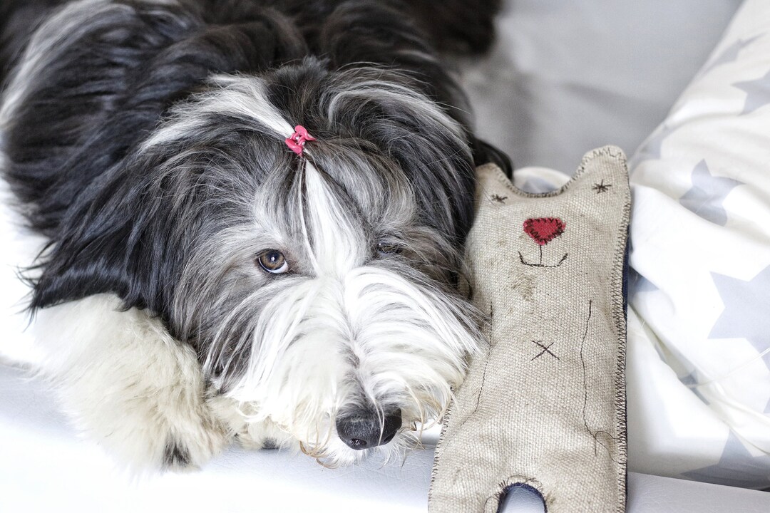 Organic Dog Toy Plush Toy for Dog Natural Hemp Dog Toy Gift No Squeaker