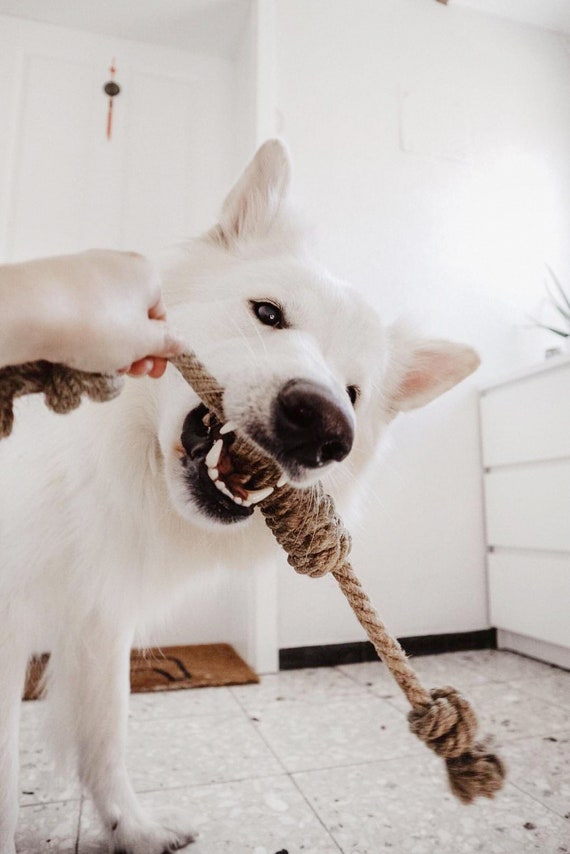 Buy wholesale Small Rope Dog Toy, Hemp, Eco Friendly