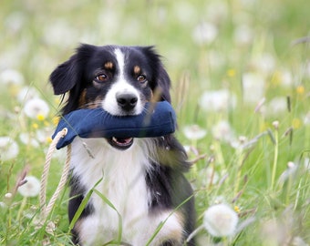 Schwerer Hunde schnuller, Hanf Spielzeug für Retriever Training Hunde, Bio, Natur Geschenk für Hundetrainer