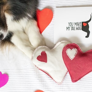 Jouet pour chien de la Saint-Valentin, cadeau de chien personnalisé pour la Saint-Valentin, coffret cadeau pour chien avec deux cœurs en peluche pour chien, lot de jouets pour chiens meilleurs amis