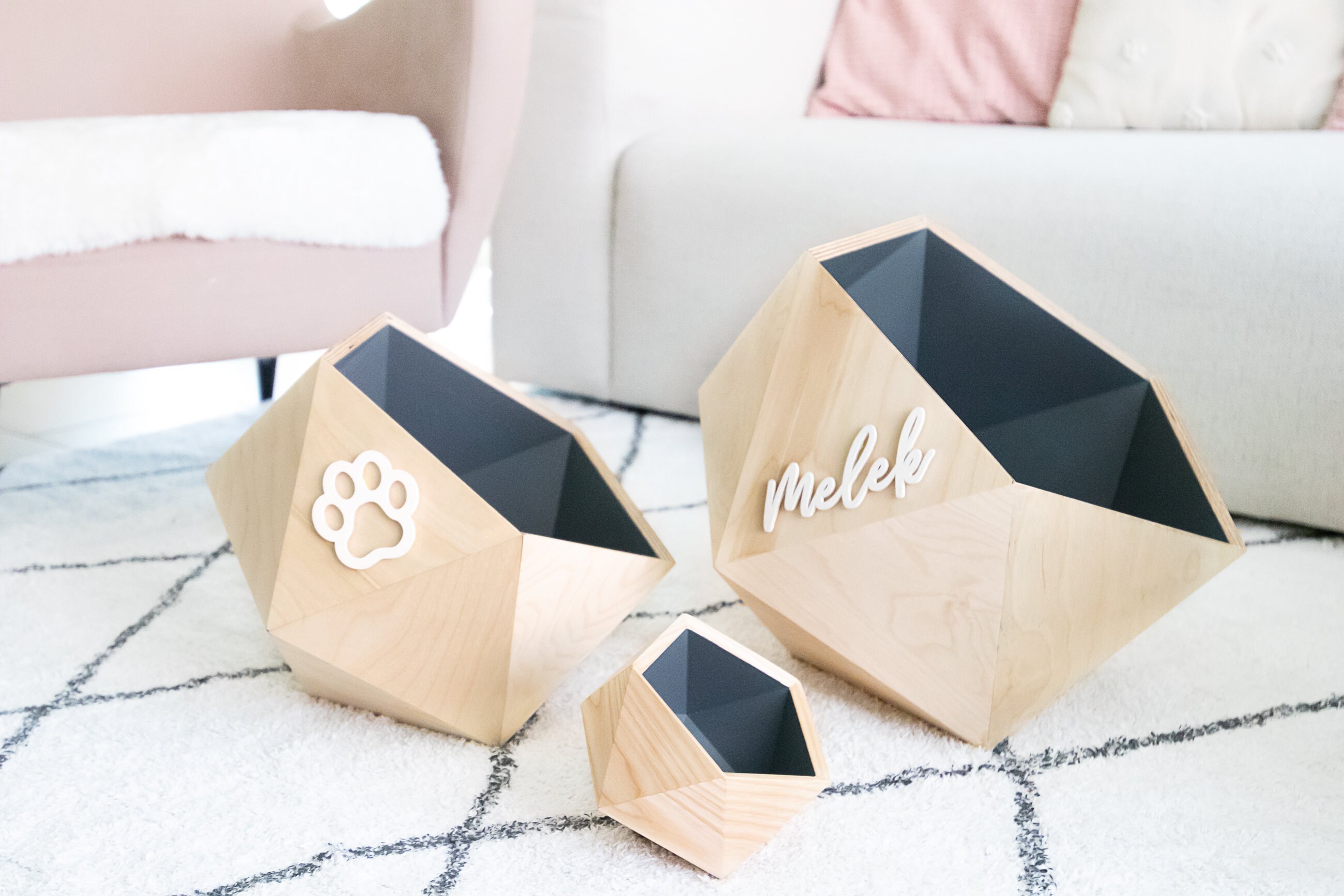 Custom Modern Dog Toy Storage Box