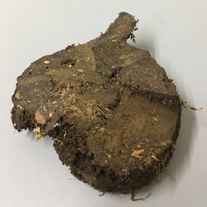 Gift a piece of Irish black Peat Turf,  ancient genuine traditional Ireland Peatland carbon storage dense fire fuel bog moss hard solid