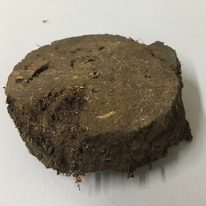 Genuine Ancient Ireland Irish Turf Peat Celtic Souvenir 2000 Year Old Peatlands Bog Carbon Storage Gift a piece of Ireland dense hard