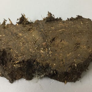 Genuine Ancient Scottish Peat Scots Souvenir 3000 Year Old Scotland Highland Bog Peatland Soil Sutherland Flow Country Carbon Storage