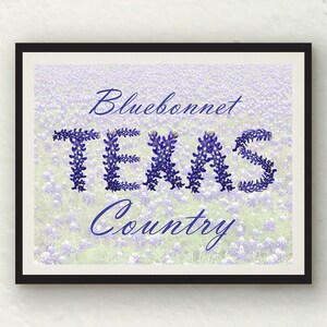 Texas Bluebonnets - Texas is Bluebonnet Country purple blue white photo art print