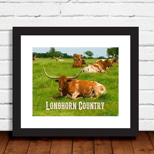 Longhorn Country - beautiful longhorns on ranch burnt orange white green photo art print