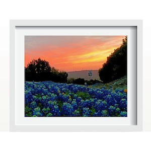 Texas Bluebonnets and Hill Country Sunset Wall Art Home Decor Photo Print