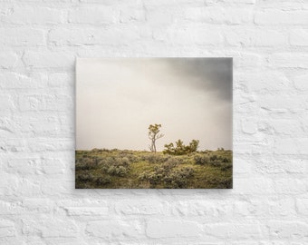 Montana Wall Art, Montana wall art, A Lonely Tree-Landscape Wall Art Photo Print