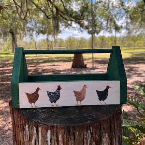 Caixa de ferramentas para cesta de ovos frescos da fazenda