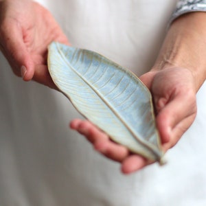 May include: A light blue ceramic leaf-shaped serving dish with a raised vein pattern.