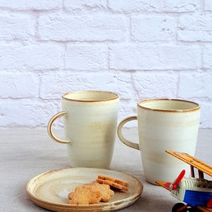 Pu&ograve; includere: Due tazze in ceramica bianca con bordi marroni e un piatto con tre biscotti a forma di stella. Un aereo giocattolo &egrave; in primo piano.