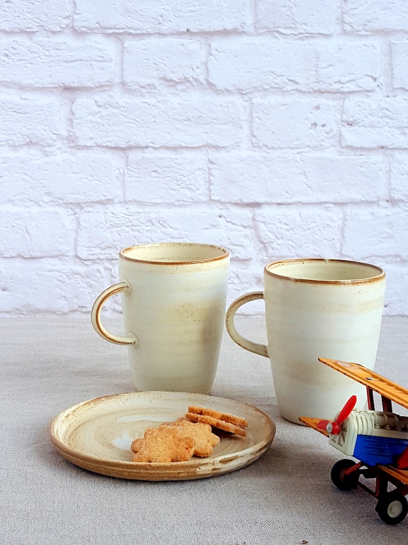 Pu&ograve; includere: Due tazze in ceramica bianca con bordi marroni e un piatto con tre biscotti a forma di stella. Un aereo giocattolo &egrave; in primo piano.