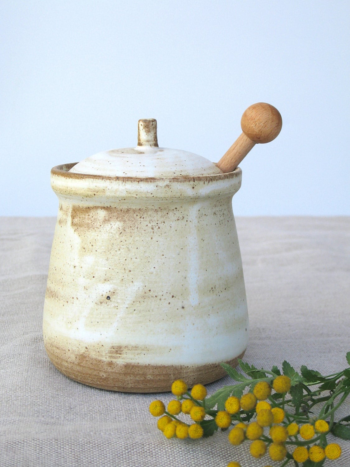 Pot de Miel en Céramique, Pot Céramique avec Couvercle, Sucre, Cave à Sel Stockage, Blanc, Poterie