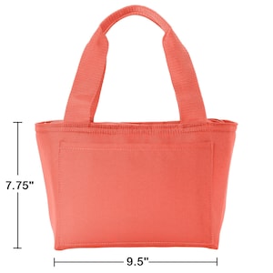 Puede incluir: Bolsa de almuerzo aislada de color coral con dos asas superiores. La bolsa mide 7,75 pulgadas de alto y 9,5 pulgadas de ancho.