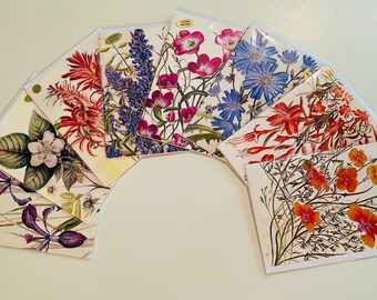 West Coast Native Wildflowers, Notecard Collection, Set of 8