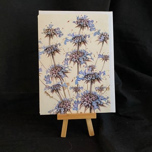 Chia Notecard, Fine Art Botanical Notecard