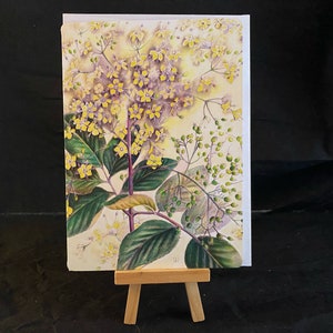 以下が含まれることがあります： 白い背景に、黄色の花と緑の葉が描かれた水彩画です。