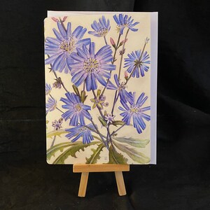 Chicory Notecard, Fine Art Botanical Notecard
