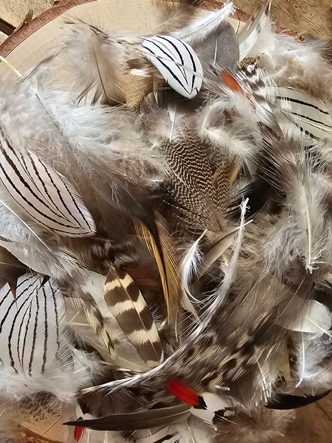 Large Batch of Bulk Feathers Mix of Rooster Pheasant and Etsy