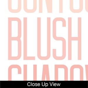 Puede incluir: Vista de cerca de un gr&aacute;fico de texto rosa y blanco que dice "Contour Blush Shadow".