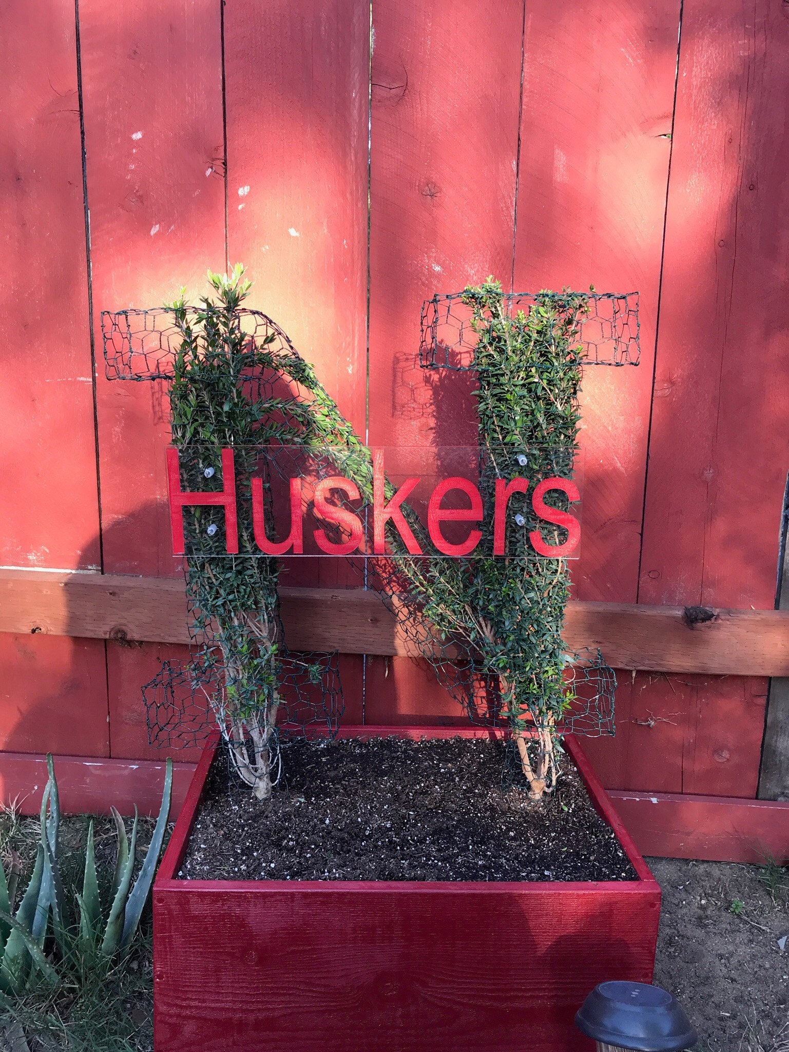Nebraska Huskers Topiary Frame