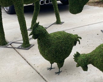 Chicken Frame covered in Sheet Moss