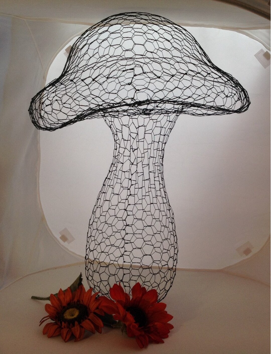 S&m fungi frame hotsell