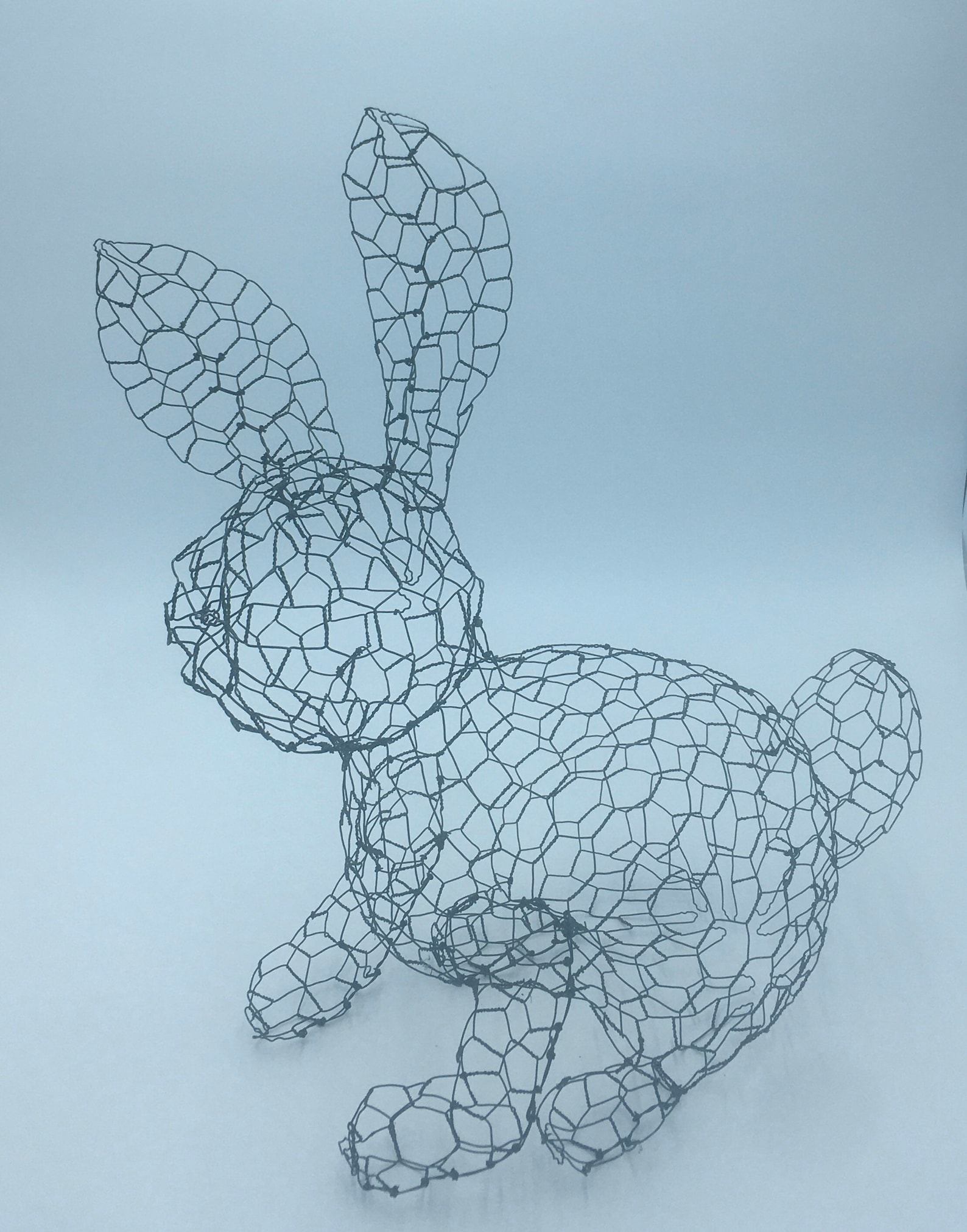 Bunny Topiary Frame - Etsy