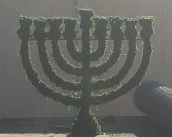 Menorah Topiary Frame