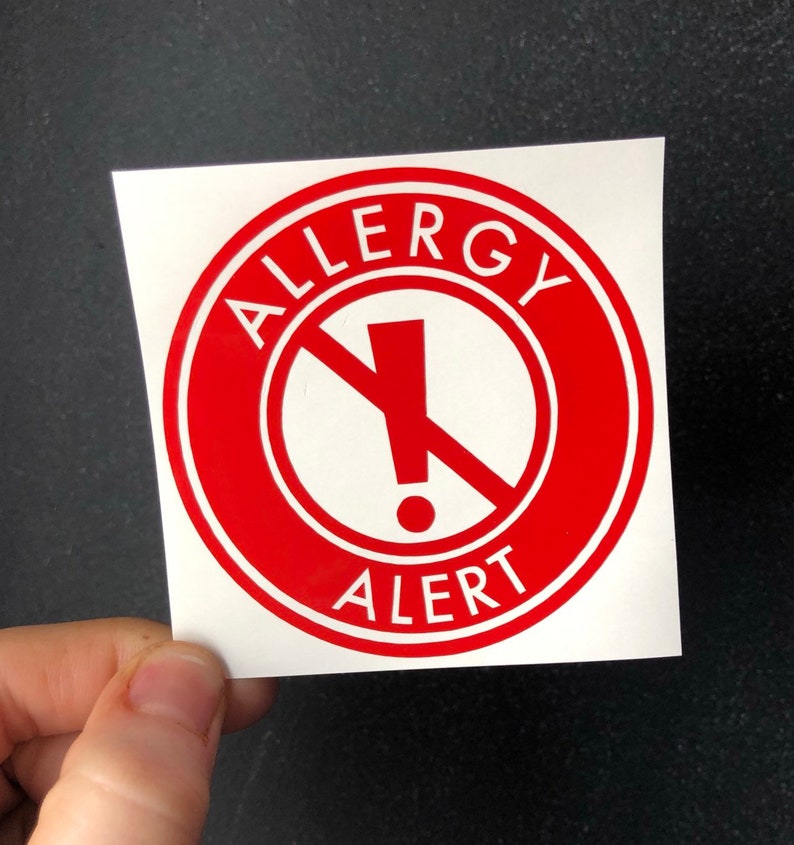 Allergy Alert Stickers Food Sensitivity Lunch Box Labels Etsy