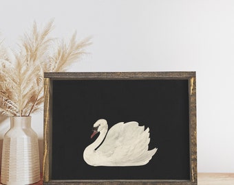 Vintage Swan Print, Vintage Art, Black Swan, Vintage Swan Framed