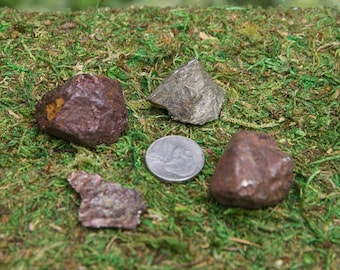 Råpyrituppsättning: Naturliga mineralprover från delstaten Washington